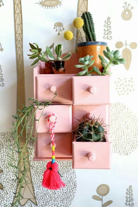 Mini Cactus Garden, Diy Cactus, نباتات منزلية, Cactus Diy, Mini Cactus, Deco Nature, Cactus Planter, Cactus Y Suculentas, Deco Floral