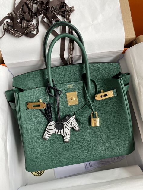 Hermes Birkin Colours, Birkin Purse, Gucci Art, Luxury Backpack, Purse Luxury, Hermes Kelly Bag, Suit Bag, Bag Obsession, Daily Bag