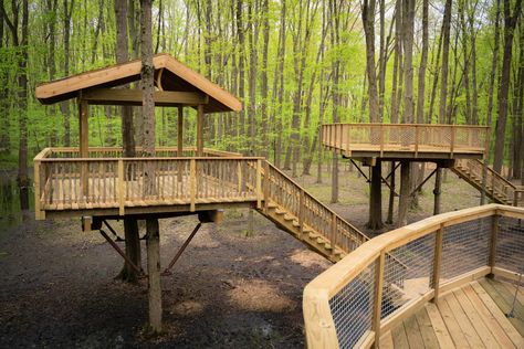 Tent Tree House, Hipcamp Ideas, Camp Platform, Platform Tent, Camping Platform, Reflection Ideas, Treehouse Village, Tent Platform, Glamping Ideas