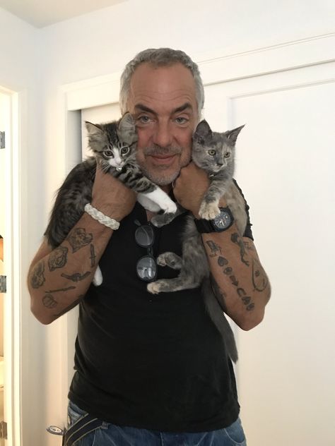 Titus Welliver Harry Bosch, Titus Welliver, Real Tattoos, Men With Cats, S Tattoos, Michael Connelly, Dad Bod, Real Tattoo, Cat People