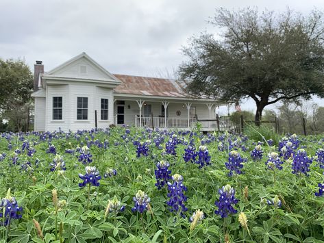 1800s Farmhouse, 1800s Home, Escape To The Country, Texas Farmhouse, Shiplap Ceiling, Dream Farm, Porch Veranda, Natural Homes, Farmhouse Barndominium