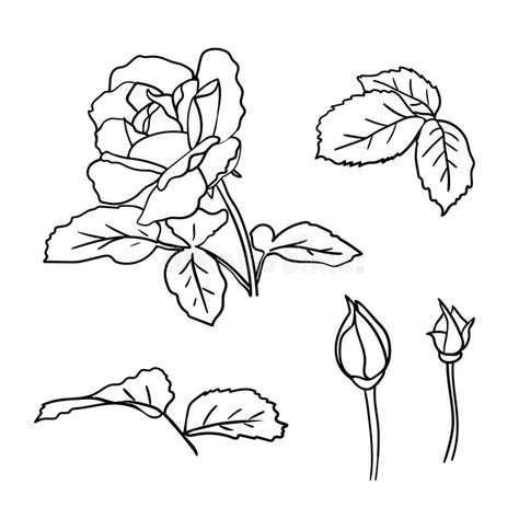 Rose Bud Drawing Simple, Rosebud Tattoo Simple, Rose Doodle, Leaves Doodle, Flower Icons, Simple Rose, Hand Tattoos For Women, Rose Leaves, Leaf Drawing