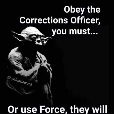 Corrections Humor, Correctional Officer Quotes, Jail Party, Correctional Officer Humor, Correctional Officer Wife, Correction Officer, Cricut Sayings, Prison Humor, Corrections Officer