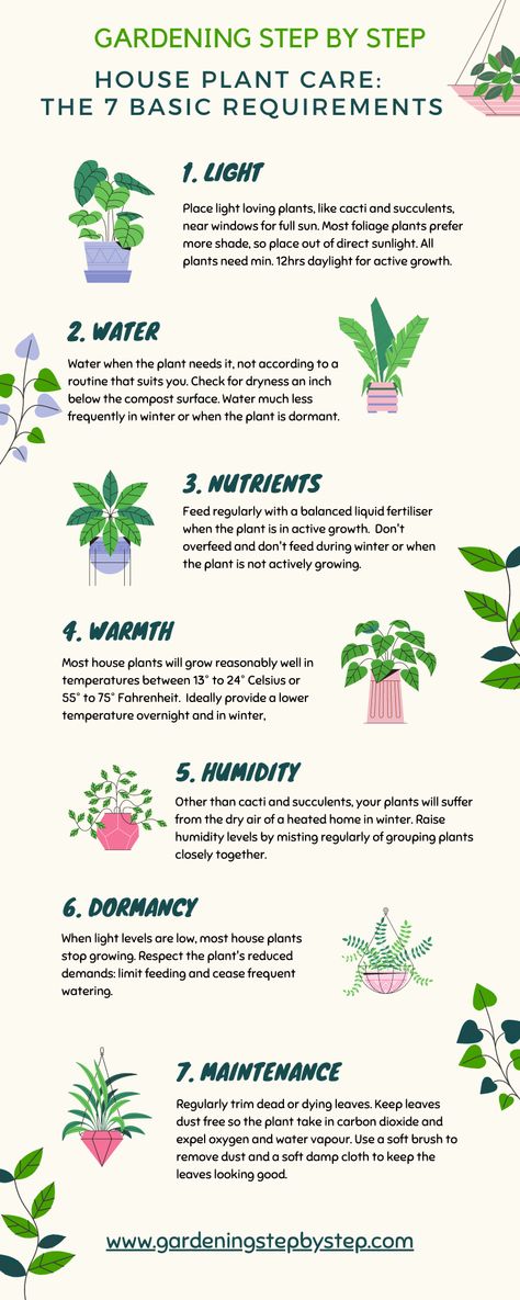 https://gardeningstepbystep.com/house-plant-care-basics/ Plants To Keep In Bedroom, How To Care For House Plants, Houseplants For Beginners, Safe House Plants, Plant Care Guide, Air Cleaning Plants, Plant Care Houseplant, Liquid Fertilizer, House Plant Care