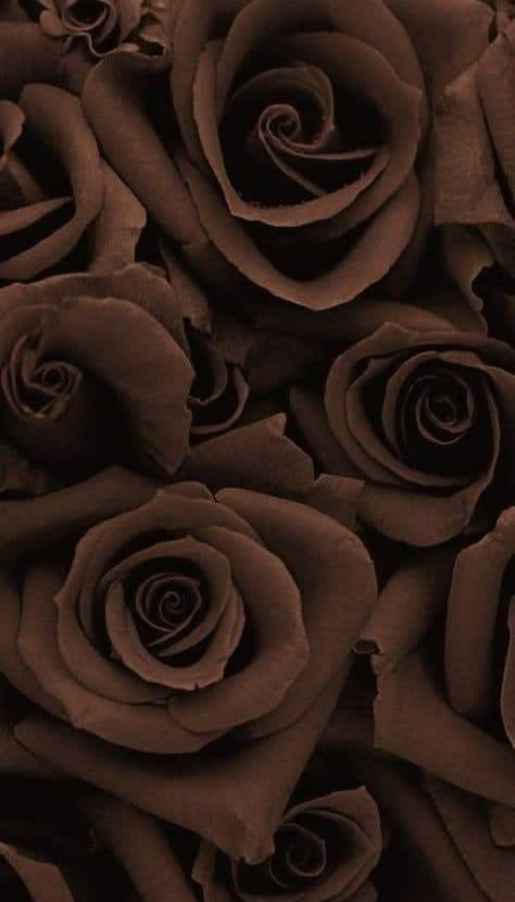 Floral Brown Wallpaper, Rose Gold Fall Wallpaper, Charcoal Color Aesthetic, Nude Phone Wallpaper Aesthetic, Brown Prints Aesthetic, Brown Valentines Aesthetic, Dark Brown Aesthetic Vintage, Rosy Brown Aesthetic, Dark Brown Pictures