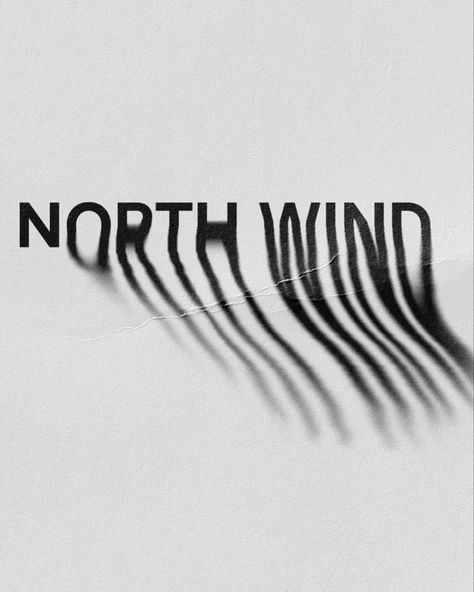 Wind Typography, Typo Poster, Christmas Typography, Write To Me, A Concept, Typography Poster, Graphic Design Art, Typography Design, Graphic Designer