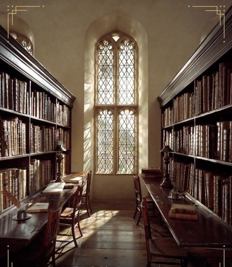 Library Hogwarts Aesthetic, European Library Aesthetic, Hogwarts Library Aesthetic, Library Hogwarts, School Library Aesthetic, Elena Core, Old Library Aesthetic, Old School Library, Harry Potter Library