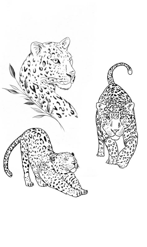 Snow Leopard Tattoo, Plant Tattoos, Cheetah Tattoo, Loyalty Tattoo, Tatoo Styles, Big Cat Tattoo, Jaguar Tattoo, Leopard Tattoos, Small Pretty Tattoos