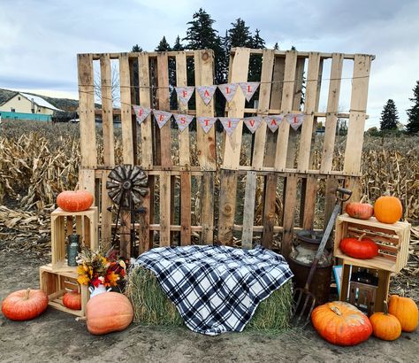 Fall Pallet Backdrop, Fall Decor With Pallets, Fall Fest Photo Backdrop, Fall Photo Op Ideas, Pumpkin Patch Photo Booth, Diy Fall Backdrops For Pictures, Fall Photo Backdrop Ideas, Fall Picture Backdrop Ideas, Harvest Photo Booth