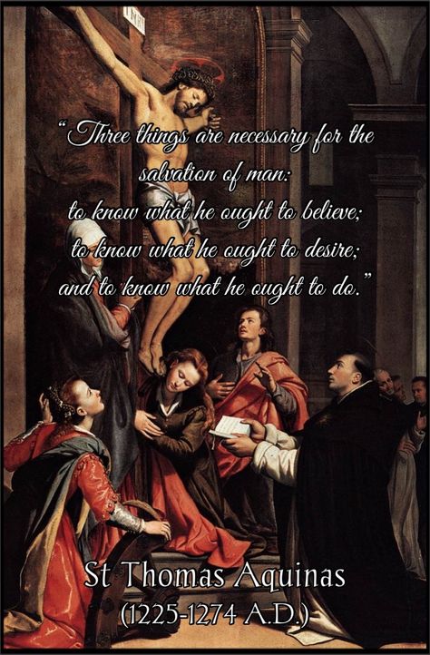 St Thomas Aquinas, Christian Quotes, Ancient Catholic Tradition, Scripture, Apostolic Succession, Bible Saint Thomas Aquinas Quotes, Thomas Aquinas Quotes, Quote Spiritual, Religious Sayings, Ancient Wisdom Quotes, St Thomas Aquinas, Saints Quotes, Mere Christianity, Tolkien Quotes