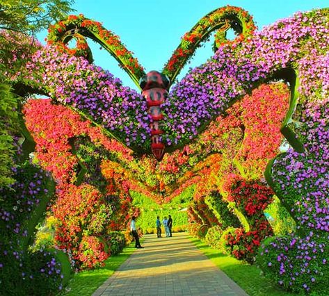 Stone Pathways Ideas Walkways, Pool Concrete, Concrete Front Steps, Petunia Flowers, Butterfly Park, Million Flowers, Petunia Flower, Light Structure, Miracle Garden