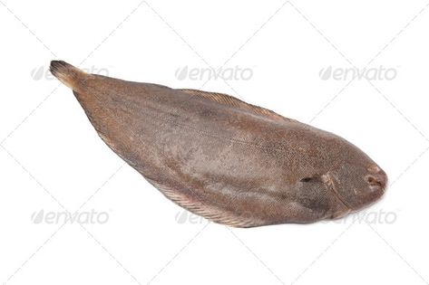 Whole single fresh sole fish by picturepartners. Whole single fresh sole fish on white background#sole, #fresh, #single, #fish Sole Fish, Photoshop For Beginners, Fish Photo, Food Photography Tutorial, Photoshop Collage, Beginner Photo Editing, Photography Photoshop, Photoshop For Photographers, Photo Editing Photoshop