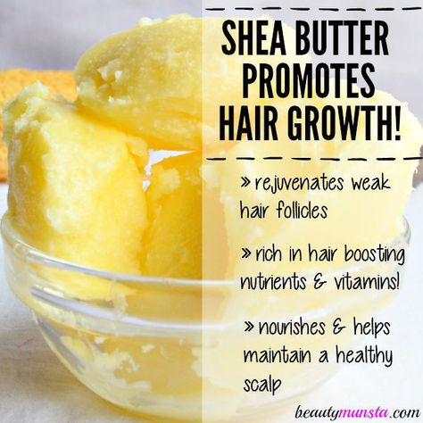 Shea butter is a great natural ingredient to promote hair growth and treat hair loss! Find out how in this post! Shea Butter Recipes, Shea Butter Benefits, Hair Recipes, Help Hair Growth, Thick Hair Remedies, Hair Butter, Shea Butter Hair, Hair Growth Foods, Natural Beauty Hacks