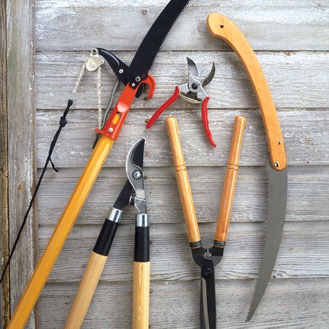 Gardening Shears, Tools Background, Trimming Hedges, Aesthetic Gardening, Tools Aesthetic, Hedge Shears, Pruning Tools, Plant Tissue, Garden Shears