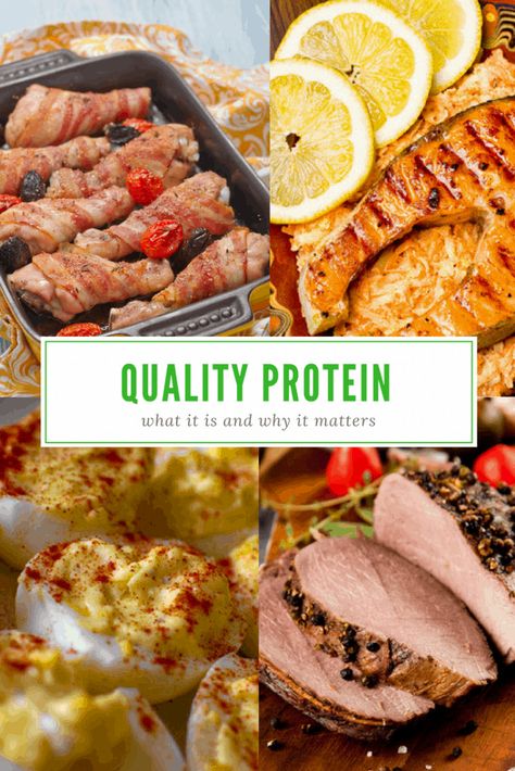 What is Quality Protein and Why Do You Need It? Most Nutritious Foods, Protein Power, High Quality Protein, High Carb, Good Sources Of Protein, Plant Protein, Overall Health, Healthy Digestion, Protein Smoothie