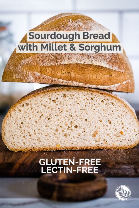 Gluten Free Sourdough Bread Recipe, Reset Your Gut, Millet Bread, Gut Cleanse, Gluten Free Sourdough Bread, Gluten Free Sourdough, Sorghum Flour, Plant Paradox, Gf Bread