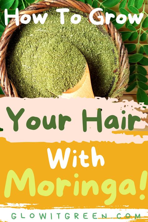 Discover how to use the incredible superfood benefits of Moringa powder to grow long, luscious hair at Glowitgreen.com! This potent, green, and nutrient-dense herb has fantastic benefits for your hair, and encourages healthy growth! Moringa is anti-inflammatory on the scalp, reduces dandruff, and helps to soften and hydrate your hair! Healthy hair will grow better and be more able to retain length and density!
 .. Moringa Leaves Benefits, Moringa Leaf Powder Benefits, Moringa Oil Benefits Hair, Moringa Powder For Hair Growth, Moringa For Hair Growth, Moringa Benefits For Women, Moringa Benefits Hair, Moringa For Hair, Benefits Of Moringa Powder