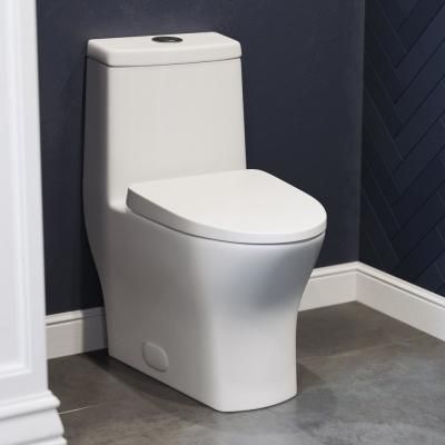 Sublime II 1-Piece 0.8/1.28 GPF Dual Flush Elongated Toilet in White Dual Flush Toilet, Wax Ring, Modern Toilet, Small Toilet, Wall Hung Toilet, Flush Toilet, Heated Seat, One Piece Toilets, Toilet Bowl