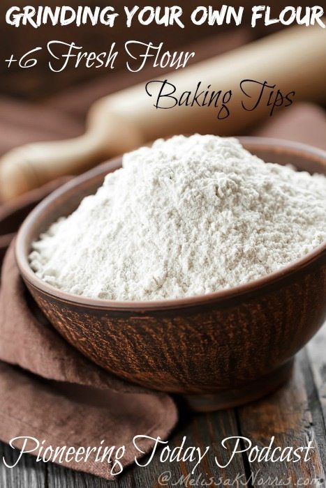 Baking with fresh milled flour you’ve ground at home is quite different than store bought flour. Grinding my own flour with a machine or an old vintage design makes me feel like a real pioneer woman. Here are 6 grinding and baking tips I’ve picked up along the way. #flour #milledflour #flourmill Pancake Biscuits, Fresh Milled Flour, Liquid Eggs, Wheat Berries, Dessert Cake, Baking Mixes, Flour Recipes, Baking Flour, Back To Nature