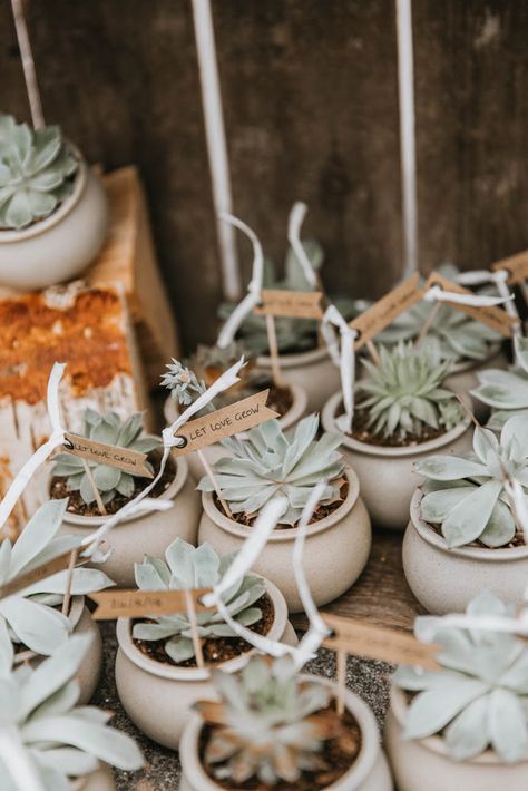 Individual Hand Grown Succulent Wedding Favours in Pots | Hand Grown Succulent Wedding Favours for an Outdoor Bohemian Wedding at The Green in Cornwall by Wide Tide Weddings Photography Boho Wedding Favours, Alternative Wedding Venue, Succulent Wedding Favors, Wedding Giveaways, Boho Style Wedding, Boho Wedding Inspiration, Succulent Wedding, Wedding Favors For Guests, Wedding Gift Favors