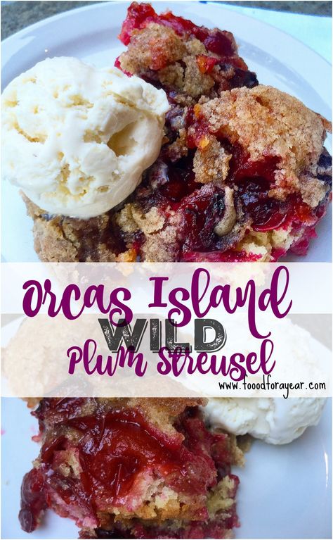 Plum Crisp, Plum Dessert, Summer Fruit Recipes, Sour Plum, Plum Pie, Wild Plum, Plum Recipes, Foraging Recipes, Dessert Recipies