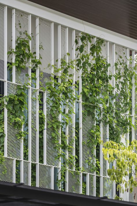 Compound Wall Design, Metal Facade, Green Facade, Compound Wall, Facade Architecture Design, Green Architecture, Building Facade, Facade Architecture, Facade Design