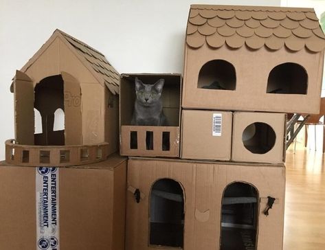 Cardboard Box Living Is Proud To Introduce The Top 16 Cats Who Are Living Up To Their Full Potential Cat House Diy Cardboard, Dresser Makeover Diy, Chat Diy, Kat Diy, Kitten House, Carton Diy, Cardboard Cat House, Cardboard Castle, Cat Castle