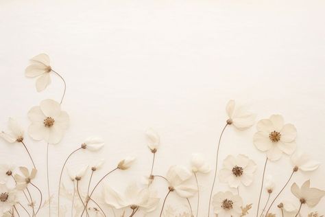 Real pressed white flowers backgrounds pattern petal. | free image by rawpixel.com / Wan Aesthetic Flowers Laptop Wallpaper, Flowers Pc Wallpaper, White Wallpaper For Laptop, Flowers Aesthetic Wallpaper Laptop, Professional Desktop Wallpaper, Background Laptop Desktop Wallpapers, White Aesthetic Wallpaper Laptop, Flowers Wallpaper Laptop, Laptop Wallpaper Desktop Wallpapers Aesthetic Vintage