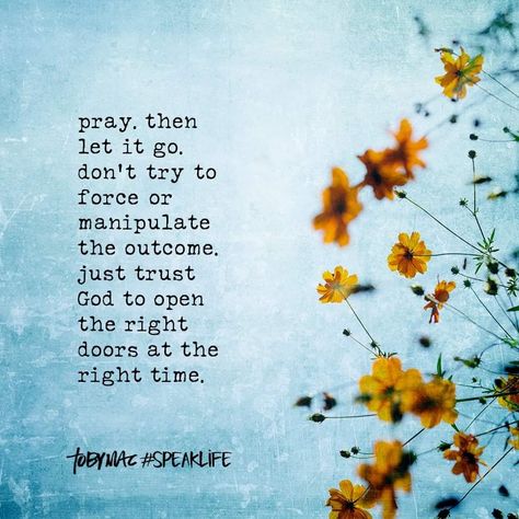 Toby Mac speak life Refresh Quotes, Tobymac Speak Life, Toby Mac, Scripture Of The Day, Speak Life, Daily Encouragement, Clever Quotes, Creativity Quotes, Prayer Board