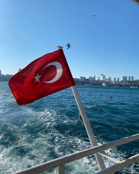 The Bosphorus Cruise was 2 hours of picturesque scenery with snacks and drinks availible. Watch for seaguls and dolphins in the summer months. Bosphorus Cruise Istanbul, Bosphorus Cruise, Boat Cruise, Boat Tours, Summer Months, Dolphins, Istanbul, Snacks, Drinks