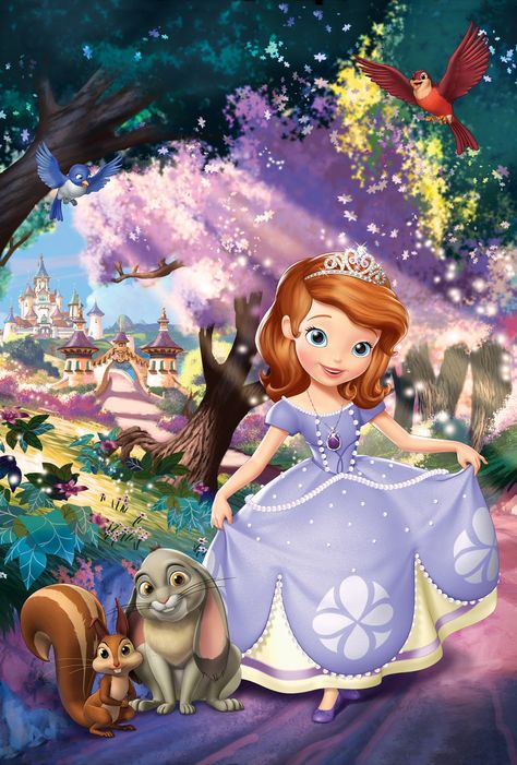 Princess Sofia Birthday Party Ideas, Sofia The First Cartoon, Disney Visa Card, Sofia The First Characters, Princess Sofia Birthday, Princess Sofia Party, Sofia The First Birthday Party, Princesa Sophia, Disney Princess Sofia