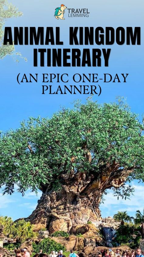 The Animal Kingdom tree at Disney's Animal Kingdom in Florida Animal Kingdom Itinerary, Animal Kingdom Rides, Discovery Island, Animal Kingdom Lodge, Disney Trip Planning, Day Planner, Perfect Itinerary, Disney World Trip, Disney World Resorts