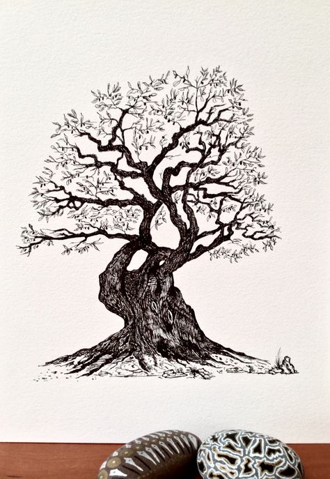 Olive tree Family Tree Sketch, Olive Tree Drawing, Olive Tree Tattoo, Olive Tree Tattoos, Evergreen Tree Tattoo, Pine Tree Drawing, Burn Wood, Tree Tattoo Men, Tattoo Tree