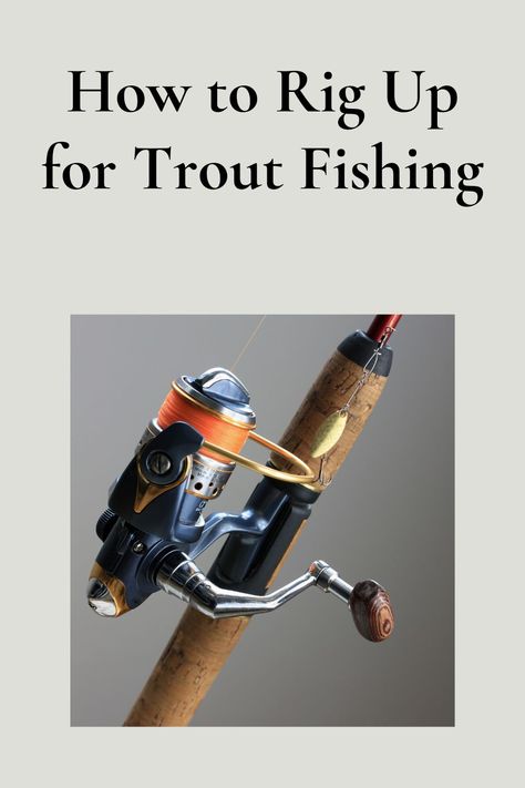 Trout fishing is a popular activity for many anglers. Let's learn how to rig up for trout fishing. However, rigging up correctly for this type of fishing can be challenging.  Different types of rigs can be used depending on the situation and the type of trout being targeted. Trout Fishing Gear, Steelhead Fishing, Rainbow Trout Fishing, Trout Fishing Tips, Fishing 101, Fly Fishing Tips, Brook Trout, Fishing Rigs, Crappie Fishing