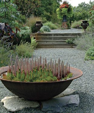 3 Ways to Design with Containers. Pagoda Garden, Types Of Succulents, Fine Gardening, Garden Containers, Agaves, Container Garden, Ornamental Grasses, Succulents Garden, Cacti And Succulents