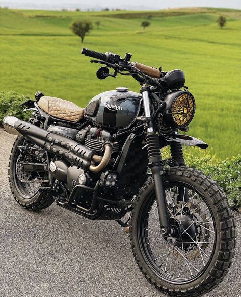 240z Datsun, Scrambler Moto, Adventure Bike Motorcycles, Triumph Street Scrambler, Moto Triumph, Tracker Motorcycle, Street Scrambler, Moto Custom, Triumph Bikes