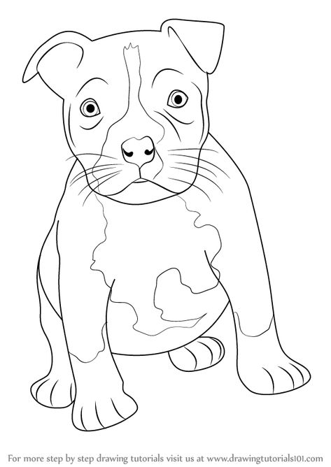 Learn How to Draw a Pitbull puppy (Other Animals) Step by Step : Drawing Tutorials Pitbull Puppy Drawing, Pitbull Dog Drawing, Staffordshire Bull Terrier Drawing, Draw Pitbull, Pitbull Sketch, Drawing Pitbull, Dog Clothing Diy, Pit Bull Drawing, Pitbull Drawing