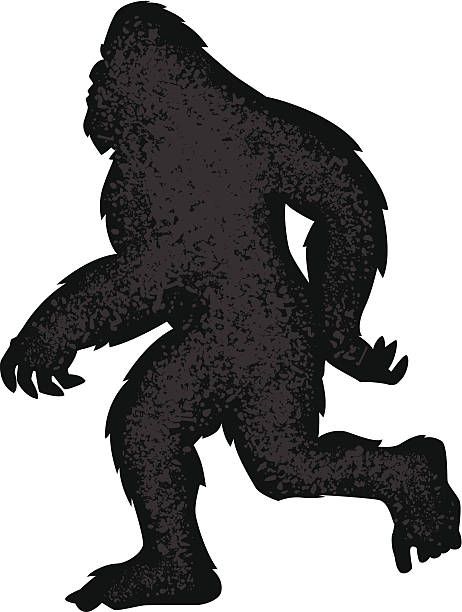 2,704 Bigfoot Illustrations, Royalty-Free Vector Graphics & Clip Art - iStock Bigfoot Drawing, Bigfoot Illustration, Bigfoot Birthday, Bigfoot Pictures, Bigfoot Art, Cartoon Silhouette, Classic Halloween Costumes, Bigfoot Sasquatch, Silhouette Stencil