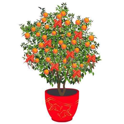 Chinese New Year Flower, Chinese Tree, Kumquat Tree, White Rat, Mandarin Tree, Chinese New Year Card, Chinese New Year Crafts, New Years Tree, Halloween Sweets