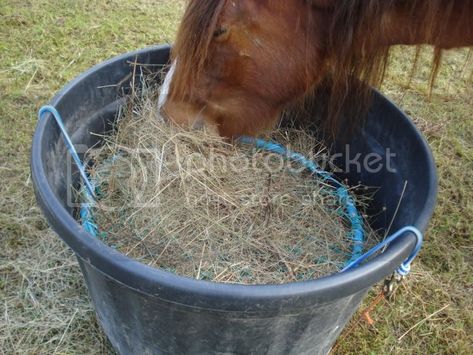 Homemade outdoor hay feeder. | Page 2 | Horse and Hound Forum Horse Slow Feeder, Hay Feeder For Horses, Horse Hay, Paddock Paradise, Dream Stables, Hay Feeder, My Horse, Slow Feeder, Horse Diy