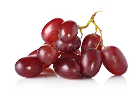 Grapes Photography, Grapes Still Life, Recipe Illustration, Fruit Still Life, Red Grape, Fruit Painting, Red Grapes, Fruit Plants, Background White