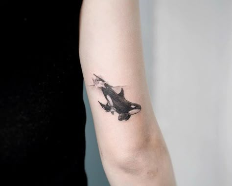 Two Orcas Tattoo, Tattoo Ideas Animal Lover, Orca Tattoo Shoulder, Orca Tattoo Back, Orca Arm Tattoo, Orca Watercolor Tattoo, Orca Whale Tattoo, Killer Whale Tattoo, Orca Tattoo