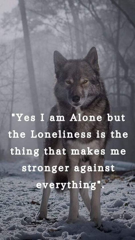 Quotes Warrior, Wolf Pack Quotes, Inspirational Animal Quotes, Lone Wolf Quotes, Wolf Quotes, Wolf Spirit Animal, She Wolf, Wolf Pictures, Wolf Spirit