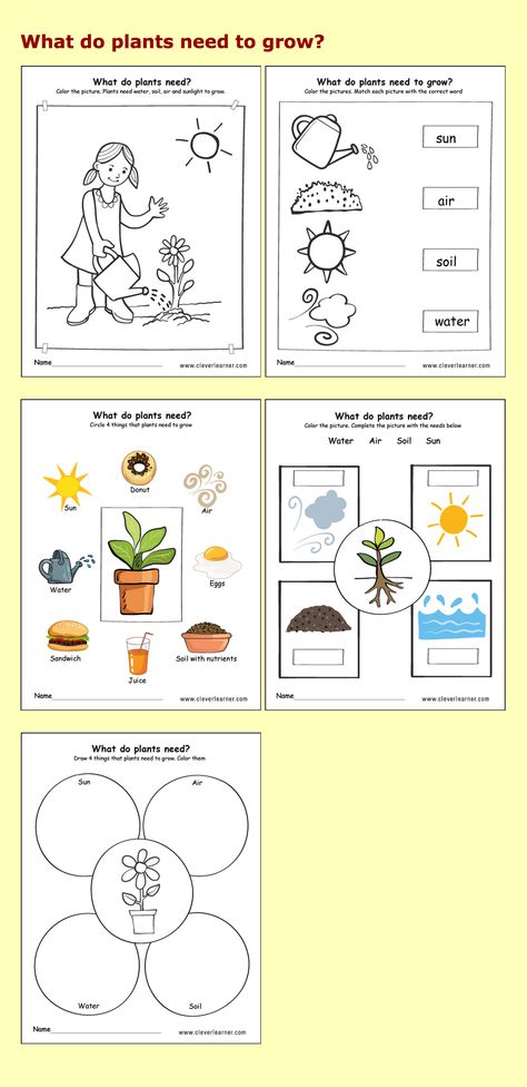 Needs of plants kindergarten worksheets #preschool #parenting #science #children Plant Unit Kindergarten, Plant Life Cycle Worksheet, Plants Kindergarten, Plant Lessons, Plants Worksheets, Kindergarten Units, Planting For Kids, Plant Activities, Free Kindergarten Worksheets