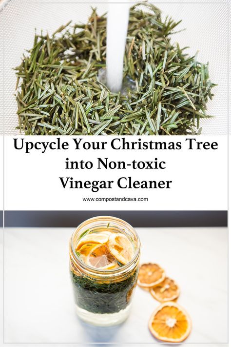 Scented Vinegar, Recycled Christmas Tree, Vinegar Cleaner, Natural Christmas Tree, Large Glass Jars, Waste Reduction, Green Ideas, Homemade Laundry, Christmas Tree Branches