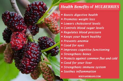 White Mulberry Benefits, Mulberry Benefits, Mulberry Recipes, Sweet Potato Protein, Healing Tea, Healthy Muffin Recipes, Clean Eating Dinner, Healthy Pasta Recipes, Lower Cholesterol