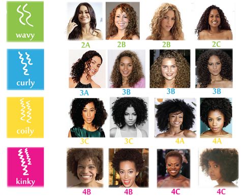 Find your curly type! I'm a 2B/2C/3A combo. Curl Chart, Perm Ideas, Hair Type Chart, Haircut Tutorials, Types Of Curly Hair, Hair Chart, 3a Hair, Type Chart, Different Types Of Curls