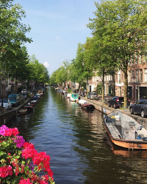 Amsterdam canal cruise - Amsterdam Forum - Tripadvisor 2 Days In Amsterdam, Pancake Shop, Chicken Bar, Best Chicken Ever, Restaurants In Amsterdam, Texas Destinations, Happy Pig, Nice Meeting You, County Donegal