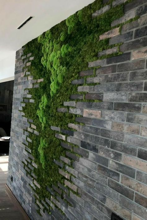 Green Wall Design, نباتات منزلية, Brick Texture, Moss Wall Art, Moss Garden, Garden Deco, Moss Wall, Wall Garden, House Plants Decor