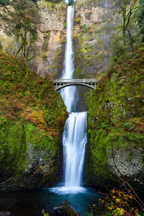 Hiking In Oregon, Oregon Waterfall Hikes, Waterfalls In Oregon, Multnomah Falls Oregon, Columbia River Gorge Oregon, Oregon Nature, Oregon Hikes, Beautiful Oregon, Oregon Photography